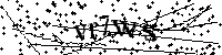 Veuillez saisir les lettres et les chiffres ci-dessous