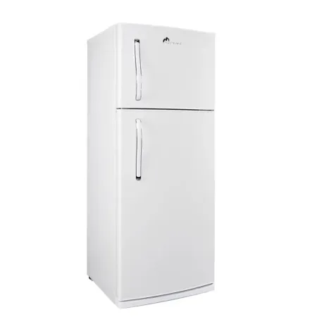 R&eacute;frig&eacute;rateur Montblanc 450L FBL.45 Blanc DeFrost