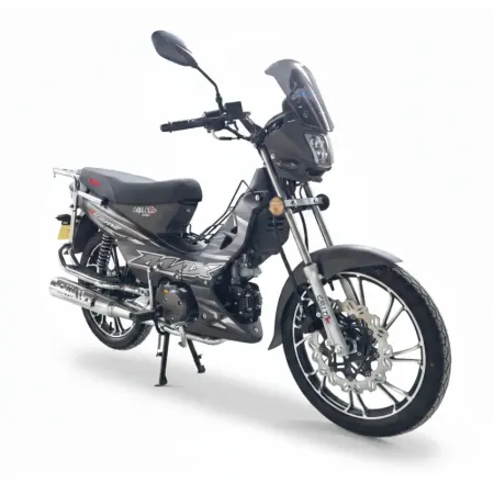 Moto Gold 4 Temps | 124CC Avec Compteur Digitale