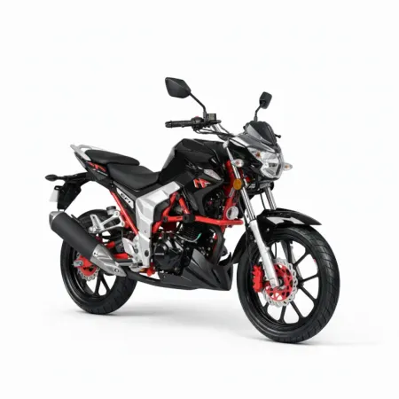 Moto Senke Raptor SK200 | 200 CC - Noir