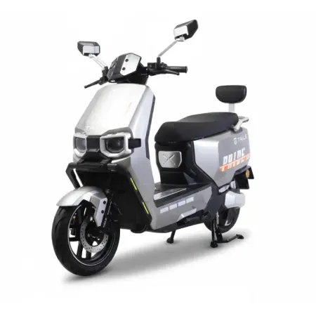 Scooteur Electrique | Pride - Gris