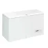 Congélateur Horizontal Whirlpool 454L – CF610A | Classe A+