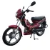 Moto FORZA 124 CC Maxi First | 4 Temps - Embrayage Automatique - Rouge 