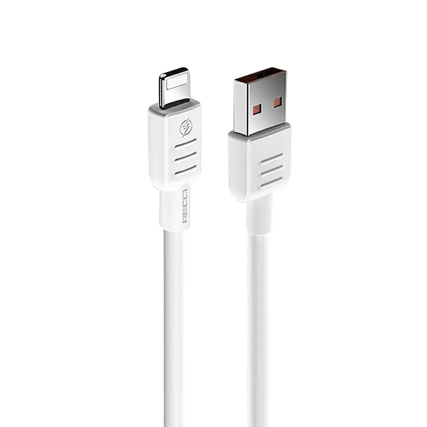 Chargeur Secteur Rapide RECCI | RC66EL - Blanc 