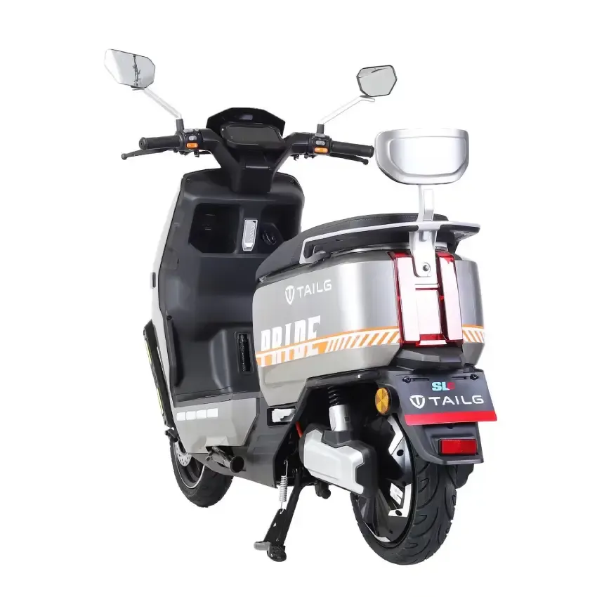Scooteur Electrique | Pride - Gris