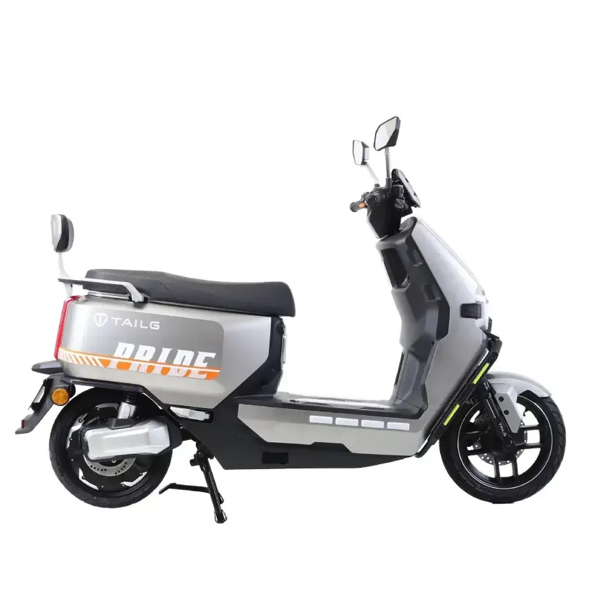 Scooteur Electrique | Pride - Gris